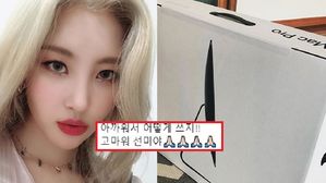 선미가 작곡가에게 선사한 '통 큰 선물' (사진=프란츠, 선미 인스타그램 캡처)
