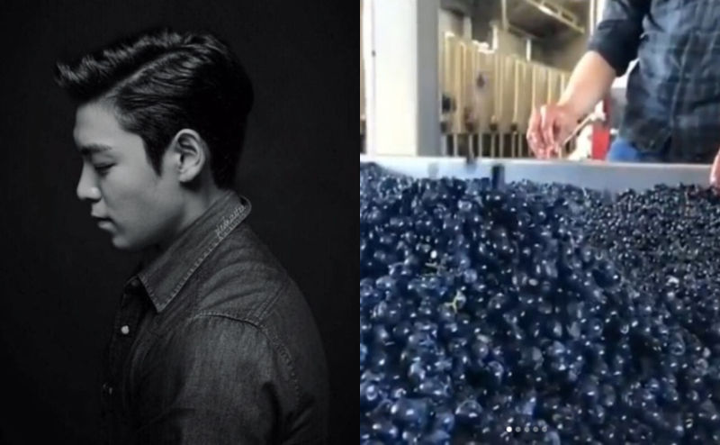 BIGBANG T.O.P Owns a Massive Vineyard in Argentina?