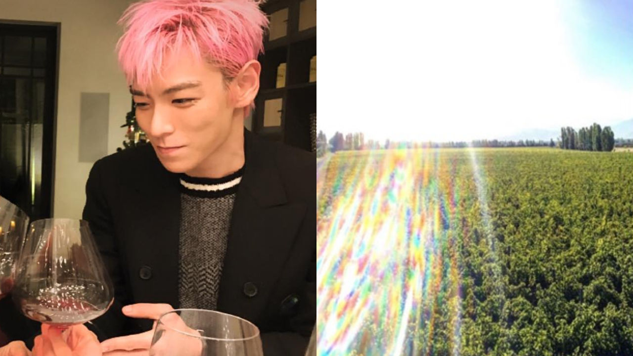BIGBANG T.O.P Owns a Massive Vineyard in Argentina?