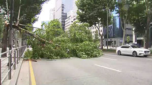 태풍 낮 2시쯤 서울 최근접&hellip;지하철 1&sim;4호선 지상 서행