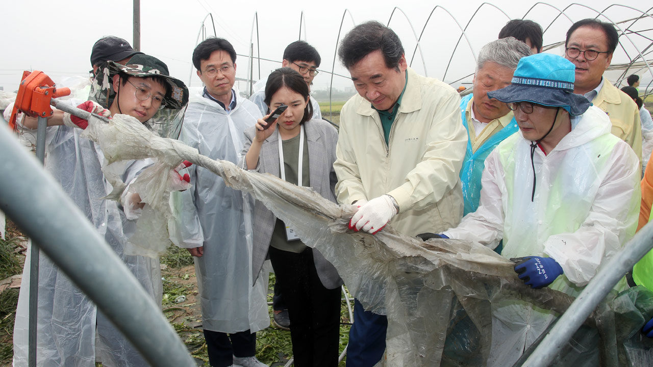 이낙연 국무총리가 9일 오전 경기도 안성시 태풍 피해 응급복구 현장을 방문, 농민들과 함께 시설 응급복구를 하고 있다.
