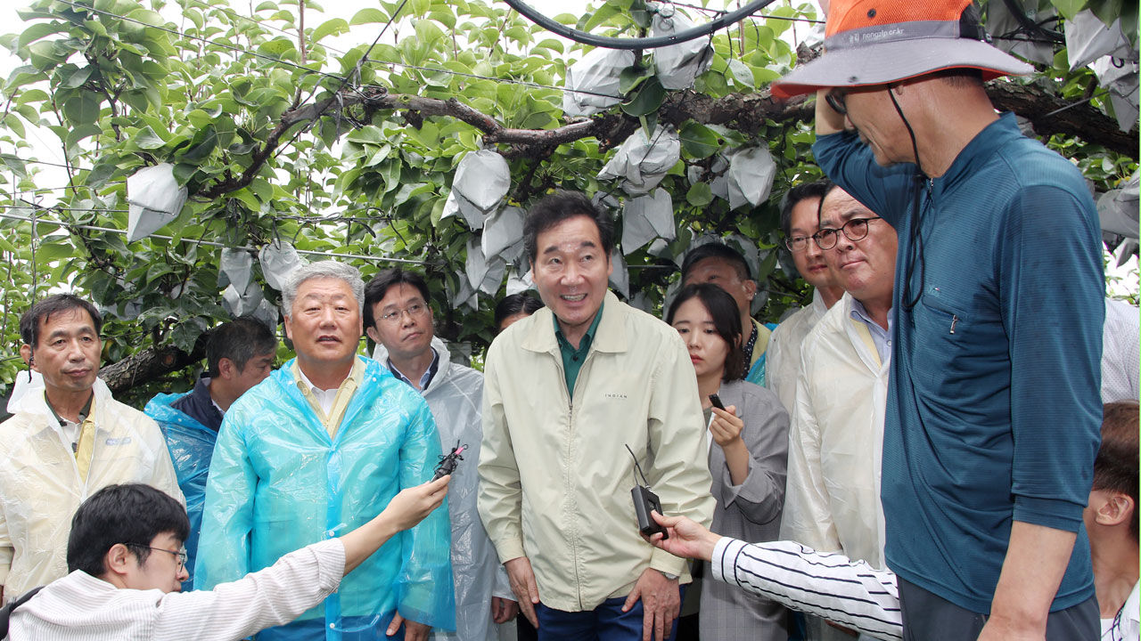 이낙연 국무총리가 9일 오전 경기도 안성시 배 낙과 피해 지역을 방문해 피해 현황을 보고받고 있다.