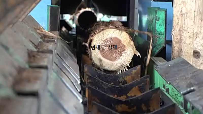 [사실은] 99.9% 합격률 자랑하는 후쿠시마 목재, 그 이면은? (관련사진)