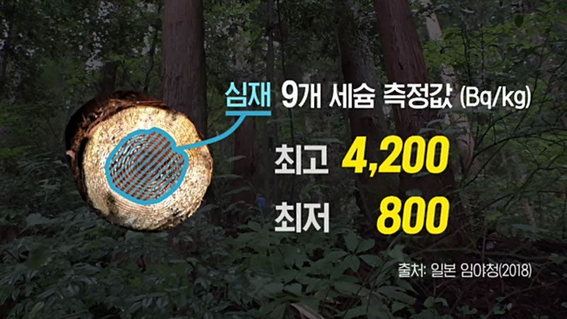 [사실은] 99.9% 합격률 자랑하는 후쿠시마 목재, 그 이면은? (관련사진)