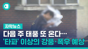 다음 주 태풍 또 온다&hellip;'타파' 이상의 강풍&middot;폭우 예상