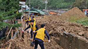 태풍 '미탁' 피해 영덕·울진·삼척 특별재난지역 선포될 듯