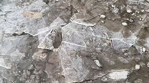 서울 올가을 첫 얼음 관측&hellip;지난해보다 9일 늦어