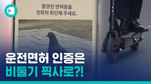 세종대왕님도, 비둘기도 탈 수 있는 전동 킥보드