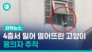 4층서 일부러 밀어 떨어뜨린 고양이&hellip;용의자 추적