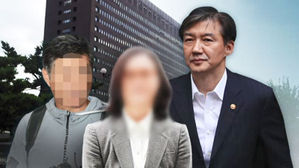조국 전 장관 관련 조사
