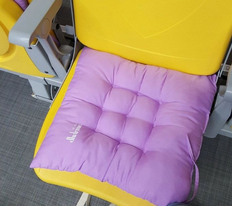 The Audience at IU's Concert Are Gifted a Seat Cushion Once Again