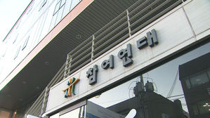 조국사태 내홍 참여연대 총사퇴 요구