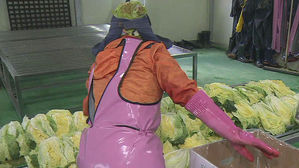 괴산 절임배추