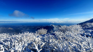 겨울 설악산, 눈 (사진=설악산국립공원 제공, 연합뉴스)
