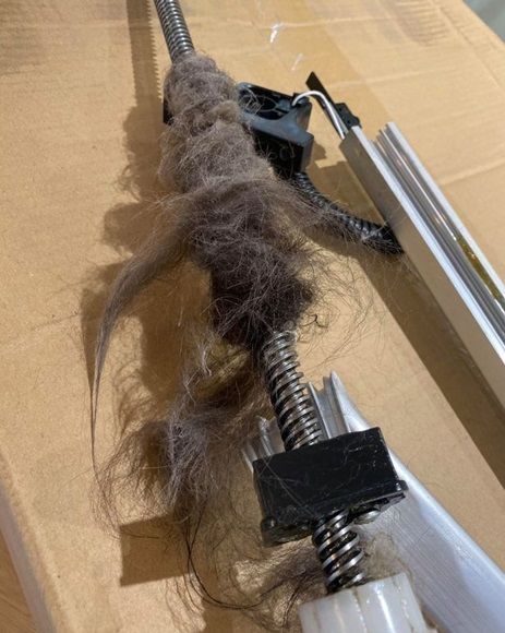 자동소파에 끼어 꼬리 잘린 고양이