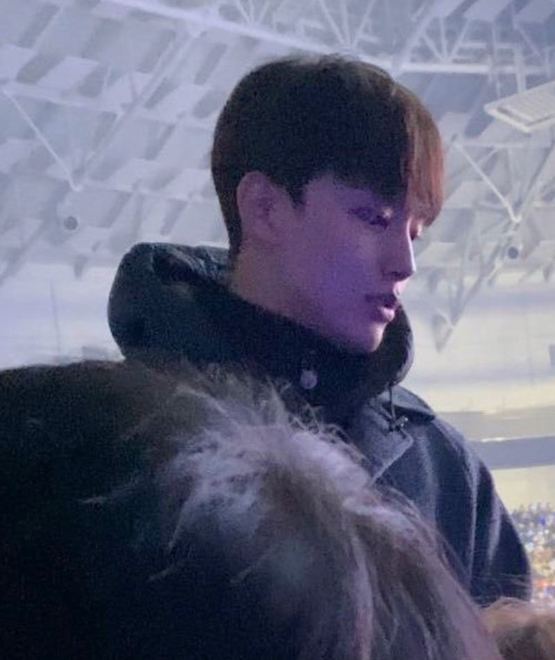 Stars at IU's concert
