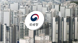 국세청 꼼수 증여 적발