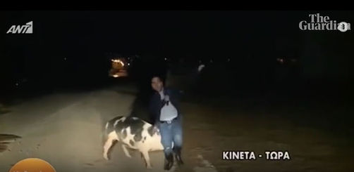 '날 자꾸 물어요