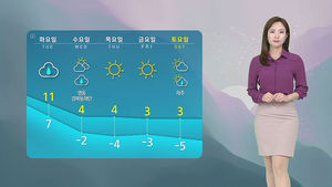 날씨 - 12시 뉴스 (정주희)
