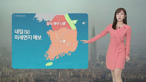 날씨 - 8시 뉴스 (정주희)