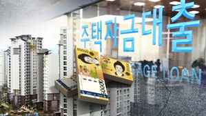 대출규제 본격 시행