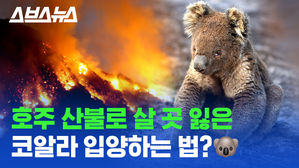 관련 이미지