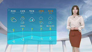 날씨 - 12시 뉴스 (정주희)