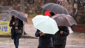 [취재파일] 눈 없는 겨울, 오늘 또 겨울비…다음 주 반짝 추위