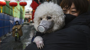 [인-잇] 반려동물도 '사회적 거리두기'가 필요해요