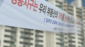 부동산 폭등, 담합