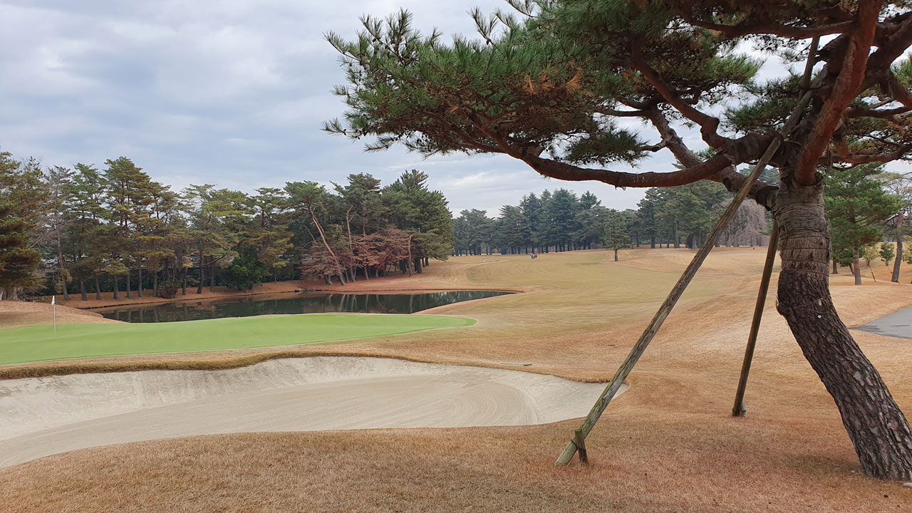 그린 뒤에서 바라본 18번 홀