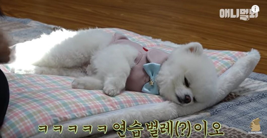 촬영 도중 '쿨쿨'…연기 태도 논란(?) 휩싸인 배우의 해명