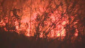 '123㏊ 소실' 강원 고성산불 원인은 '화목보일러 부실시공'
