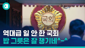 '땅땅땅' 의사봉 치기 바빴던 20대 국회 마지막 본회의 모습