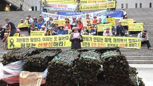 2017년 서울 광화문 세종문화회관 앞에서 피해 보상을 촉구하는 전남 진도군 동거차도 어민들
