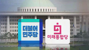 국회 더불어민주당 미래통합당