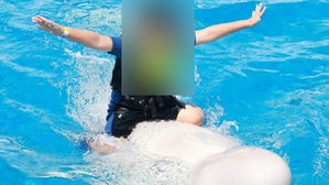 돌고래 서프보드 체험 (사진=거제씨월드 홈페이지 화면 캡처, 연합뉴스)