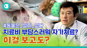 반려동물 직접 치료&hellip;이래도 하시겠습니까?