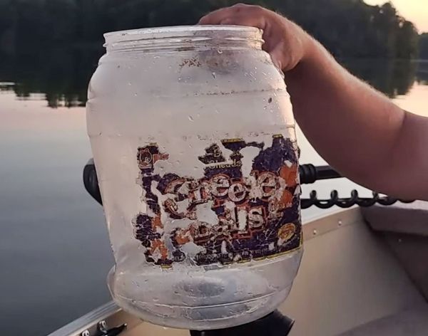 '치즈볼'이 궁금했던 새끼 곰…플라스틱 통에 목숨 잃을 뻔