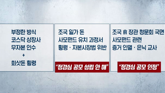 조국 전 장관 5촌 조카 조범동 씨 혐의