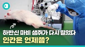 다시 걷게 된 생쥐&hellip;임상실험은 언제쯤?