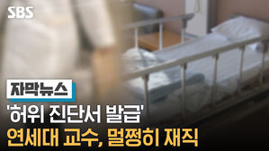 자막3_안상우_허위 진단서 발급
