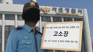 신변보호 경찰 탈북 여성 성폭행