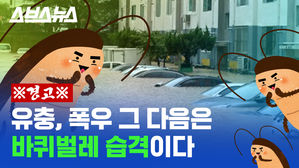 관련 이미지