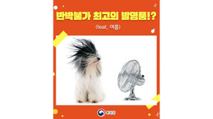 여름PICK 리사이징