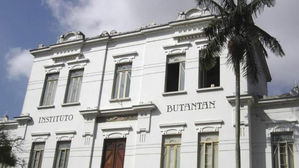 브라질 연구소장 "백신 생산 10월 중 시작될 수도 있어"