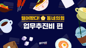 (8일 오전 9시 출고) [마침] 털어봤다! 동네의회 -업무추진비 편