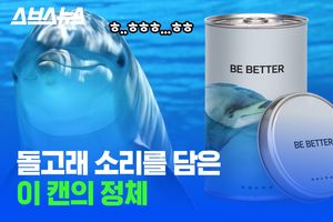 관련 이미지