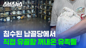관련 이미지