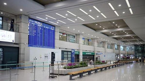코로나19 여파로 한산한 인천국제공항 입국장